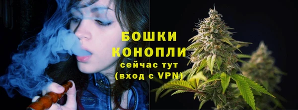 гидропоника Вяземский