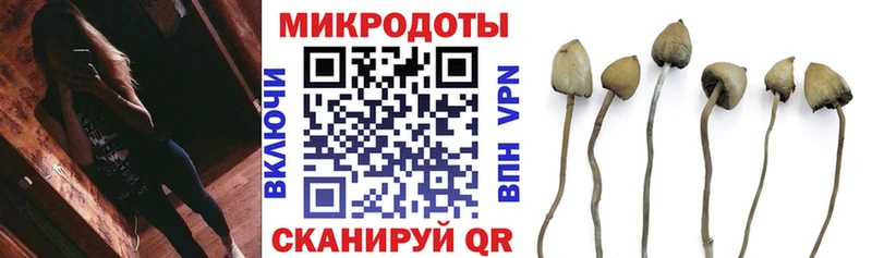 Галлюциногенные грибы Psilocybine cubensis  Купить где  Саянск 